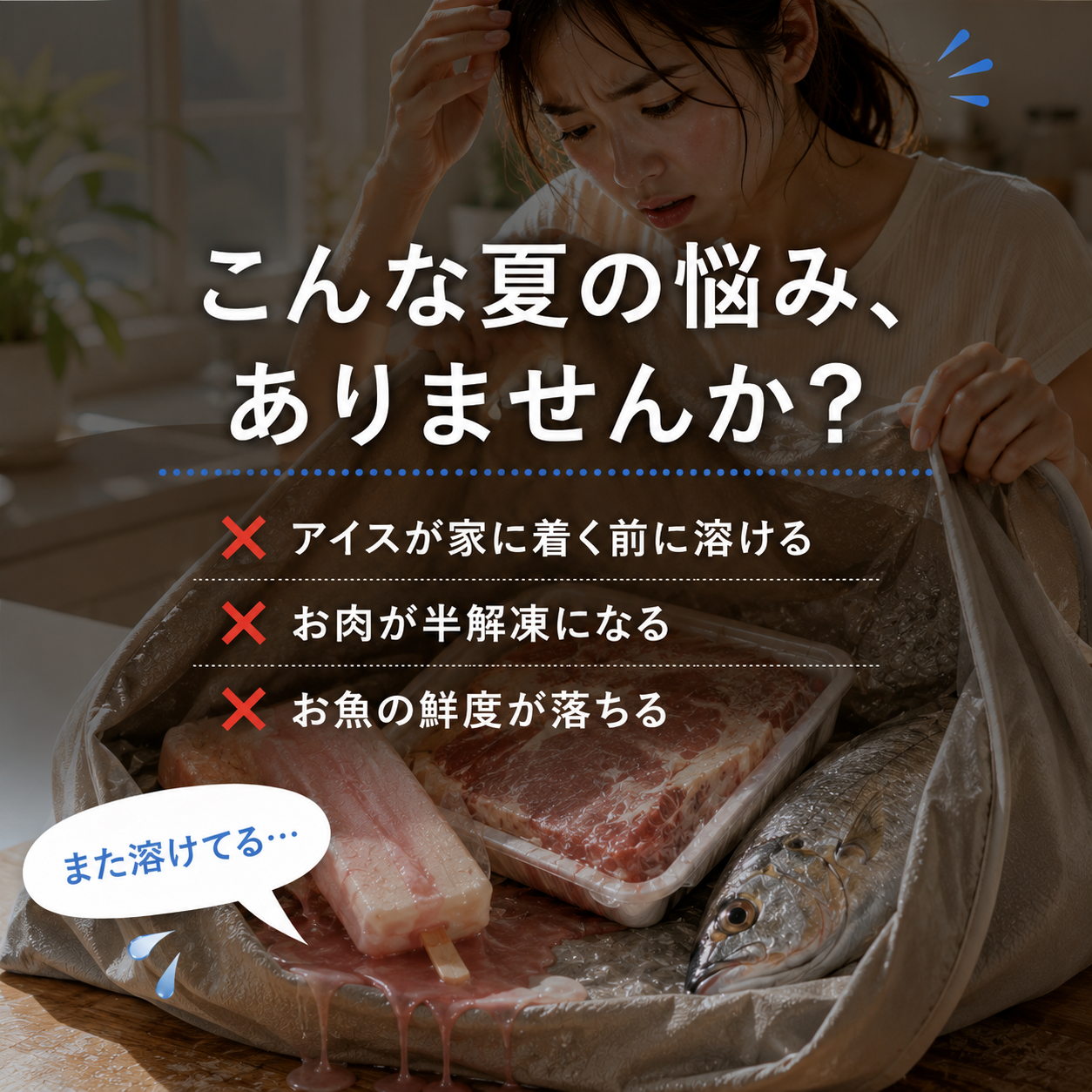 こんな夏の悩み アイスが溶ける お肉が半解凍 お魚の鮮度が落ちる